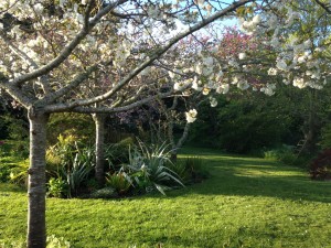Bed-and-breakfast-whanganui- gardens